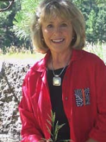 Suellen Palcanis