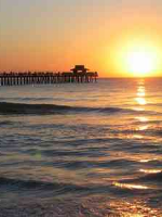 FLORIDA REAL ESTATE REGISTER.COM      (Naples Division)